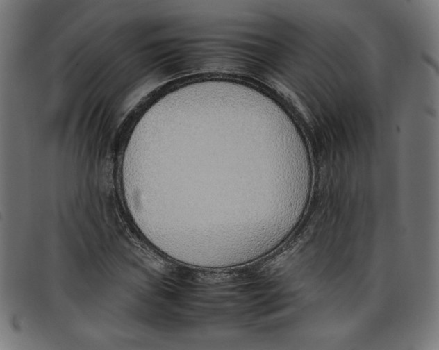 X0000098101019200804251359