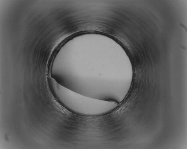 X0000098101020200804251359