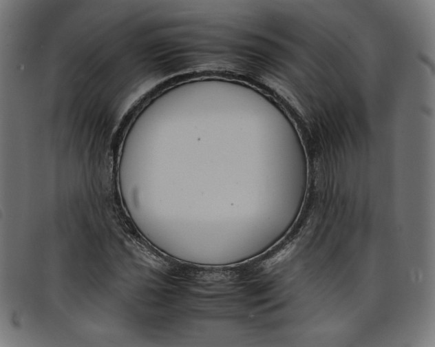 X0000098101021200804251359