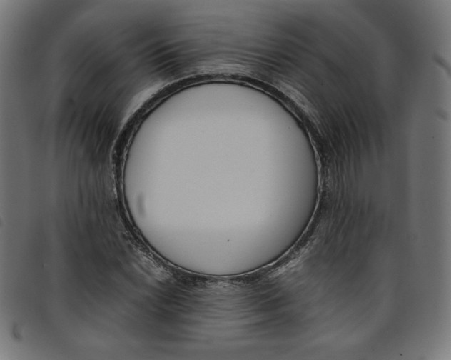 X0000098101022200804251359