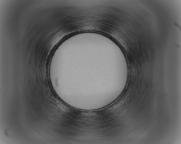 X0000098101023200804251359