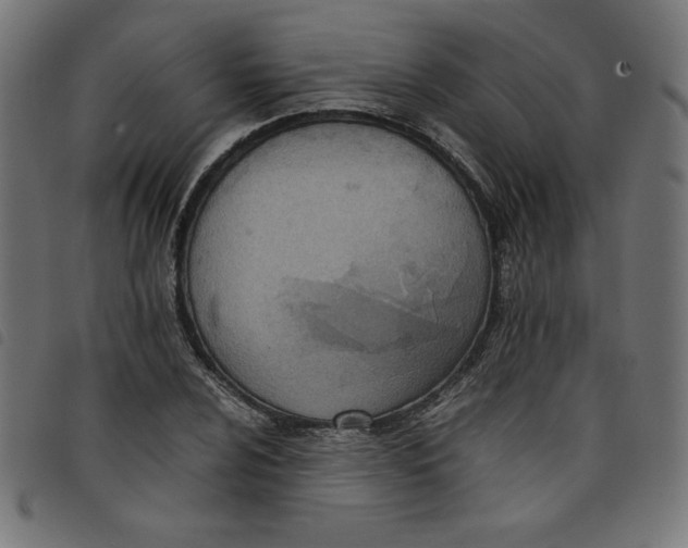 X0000098101024200804251359