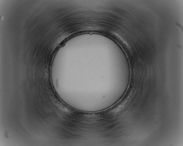 X0000098101025200804251359