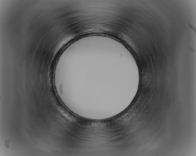 X0000098101026200804251359