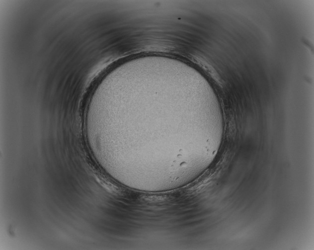 X0000098101027200804251359