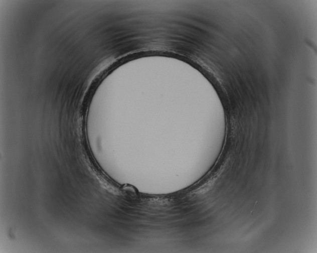X0000098101029200804251359