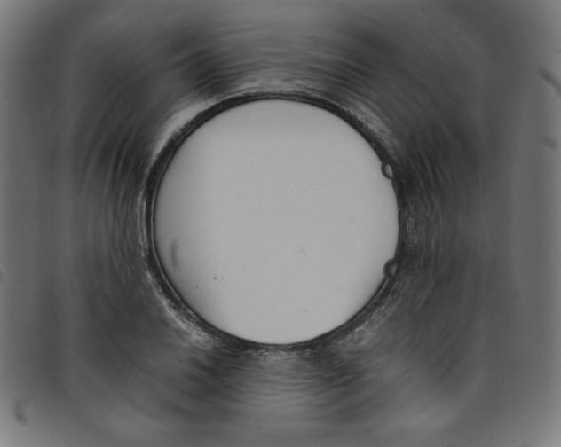 X0000098101030200804251359
