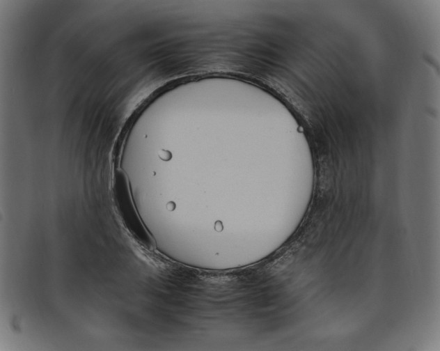 X0000098101031200804251359