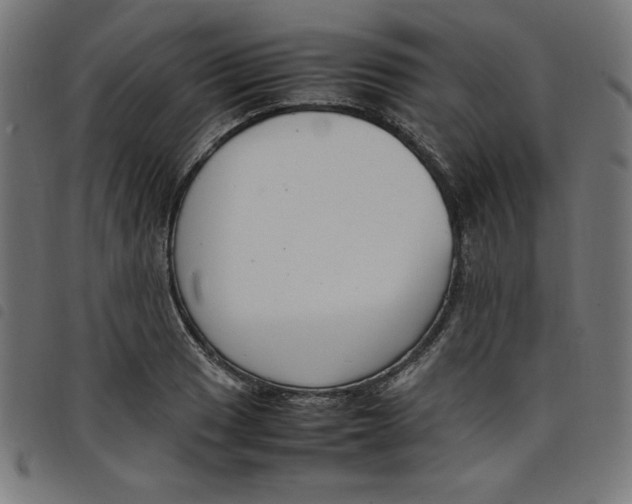 X0000098101033200804251359