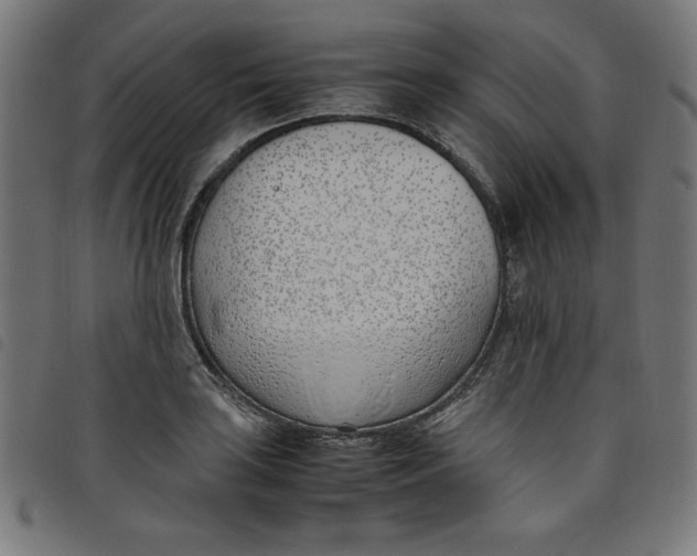 X0000098101035200804251400