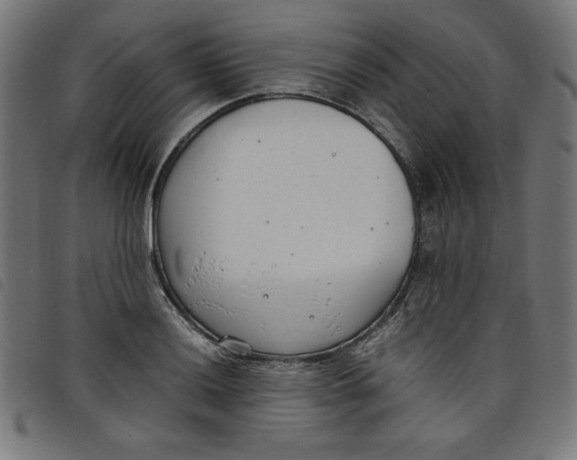 X0000098101036200804251400