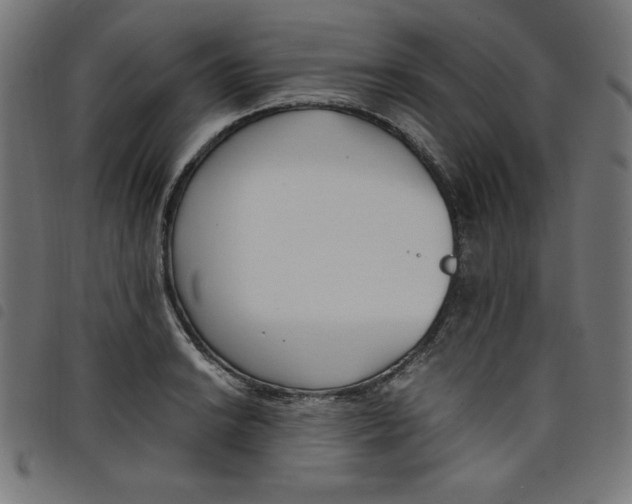 X0000098101038200804251400