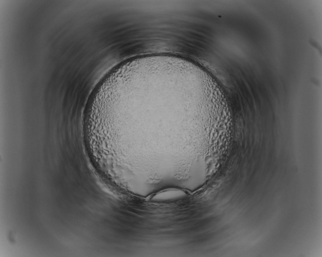 X0000098101039200804251400