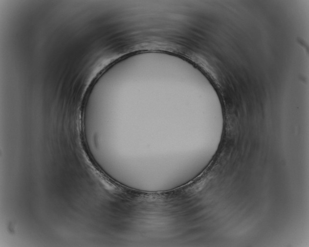 X0000098101040200804251400