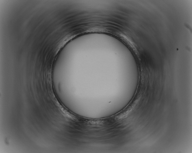X0000098101041200804251400