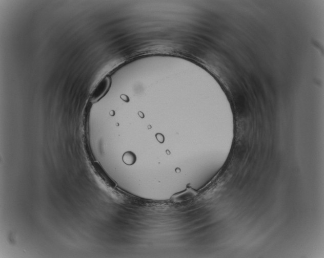 X0000098101042200804251400