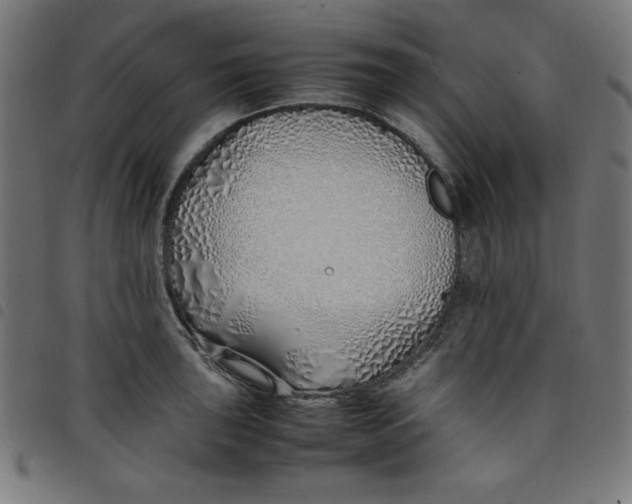 X0000098101043200804251400