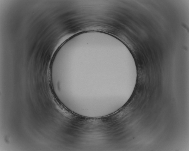 X0000098101044200804251400