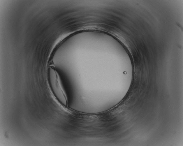 X0000098101045200804251400
