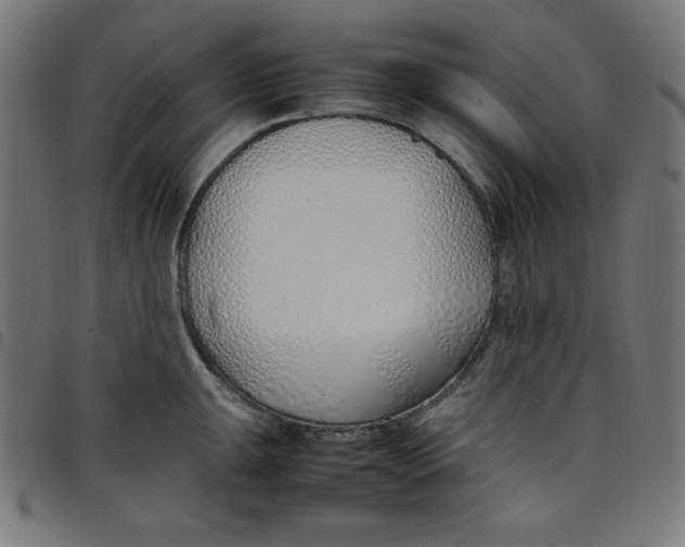 X0000098101047200804251400