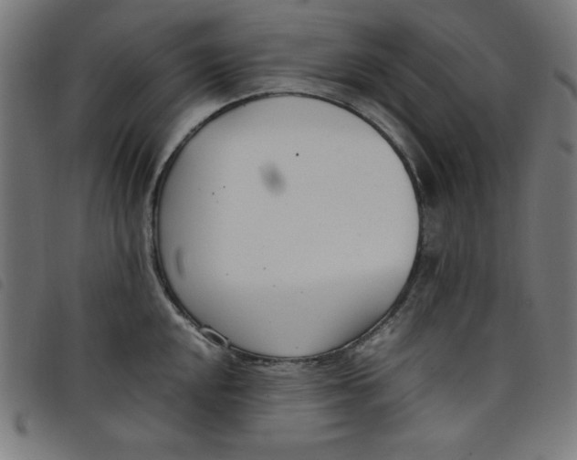 X0000098101048200804251400