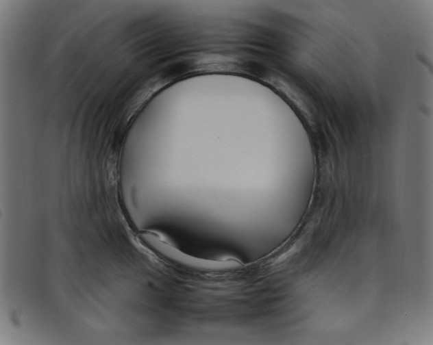 X0000098101049200804251400