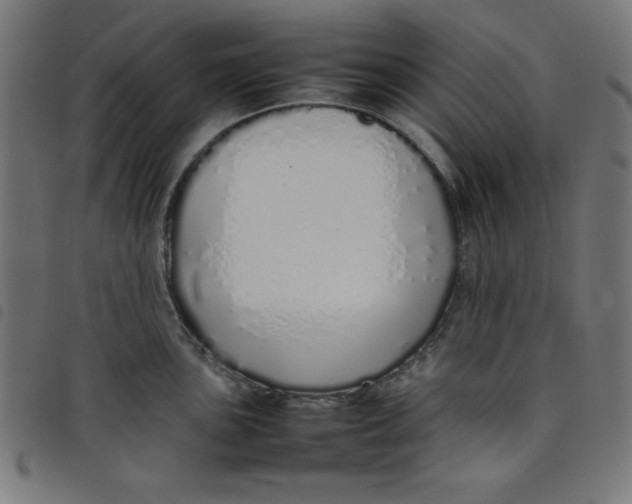 X0000098101051200804251400