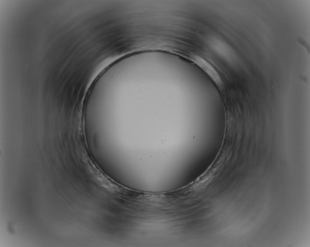 X0000098101052200804251400