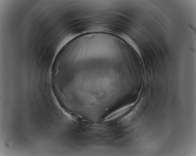 X0000098101053200804251400