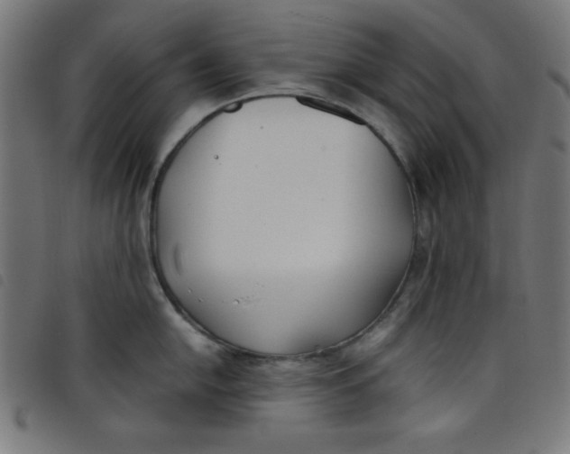 X0000098101054200804251400