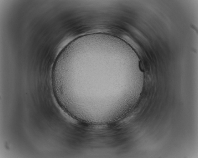 X0000098101055200804251400