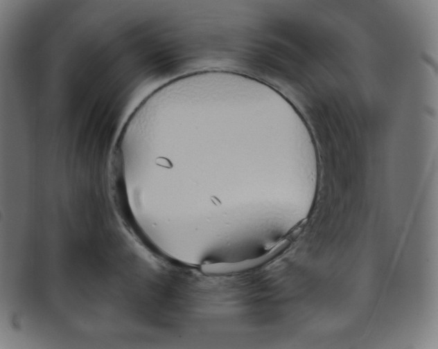 X0000098101056200804251400