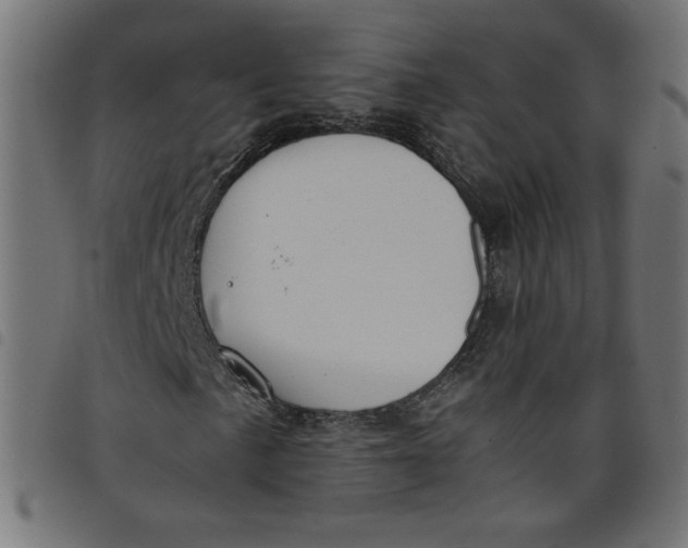 X0000098101057200804251359