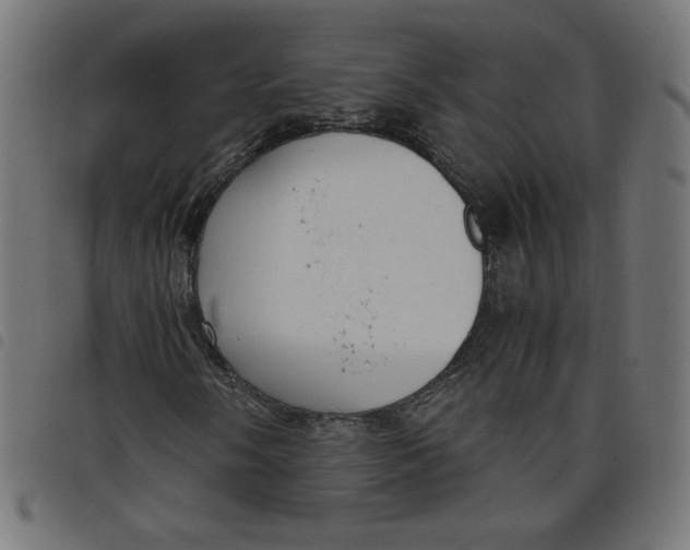 X0000098101058200804251359