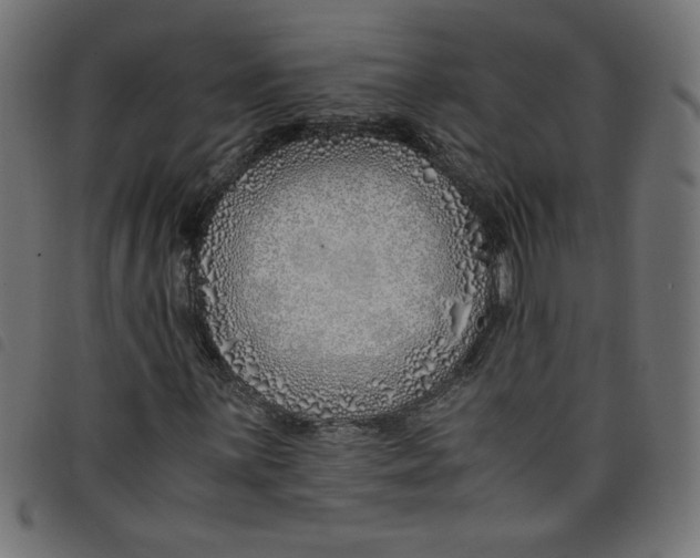 X0000098101059200804251359