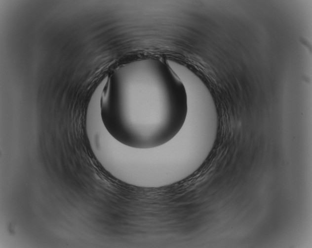 X0000098101060200804251359