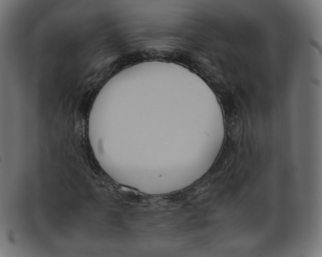 X0000098101061200804251359
