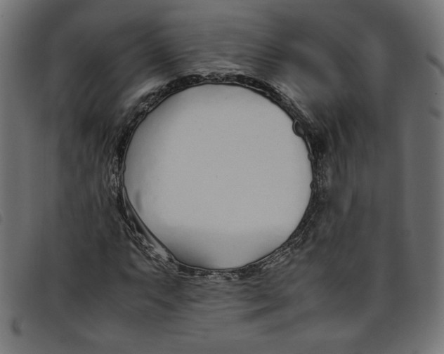 X0000098101063200804251359