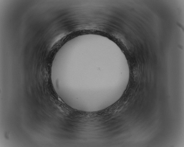 X0000098101064200804251359