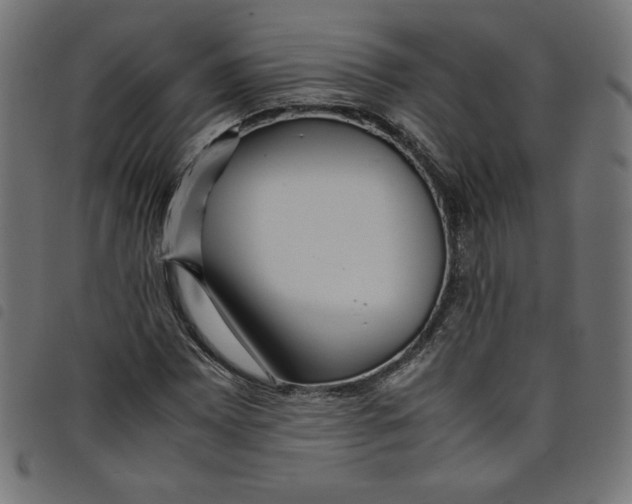 X0000098101065200804251359