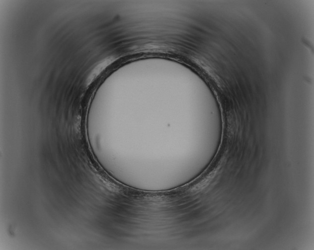 X0000098101066200804251359