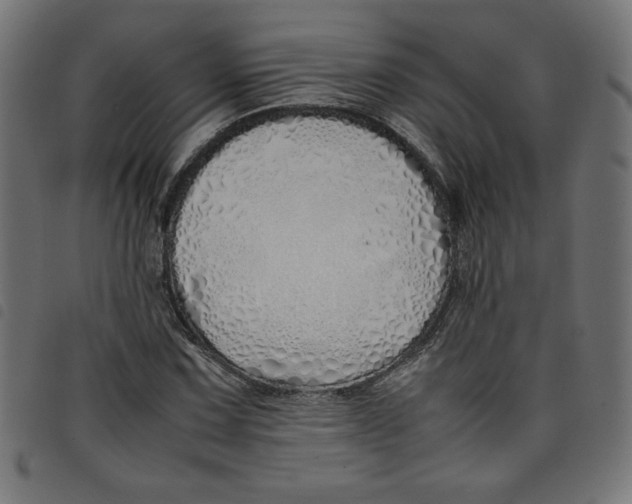 X0000098101067200804251359