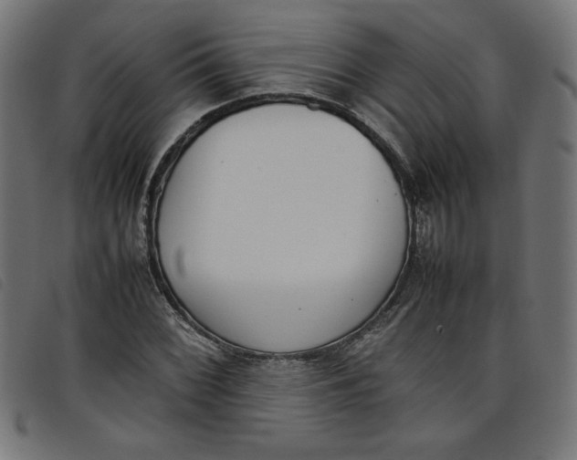 X0000098101068200804251359