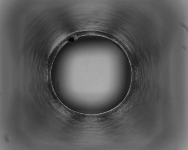 X0000098101069200804251359