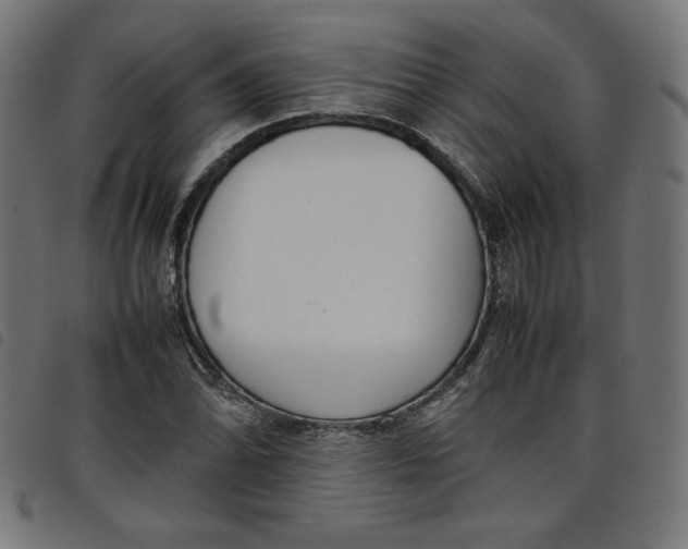X0000098101070200804251359