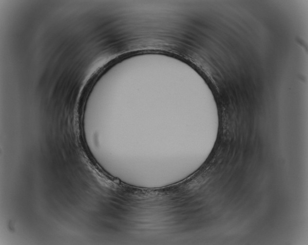 X0000098101072200804251359