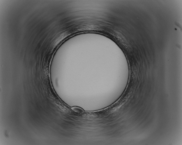 X0000098101073200804251359