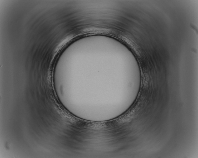X0000098101074200804251359