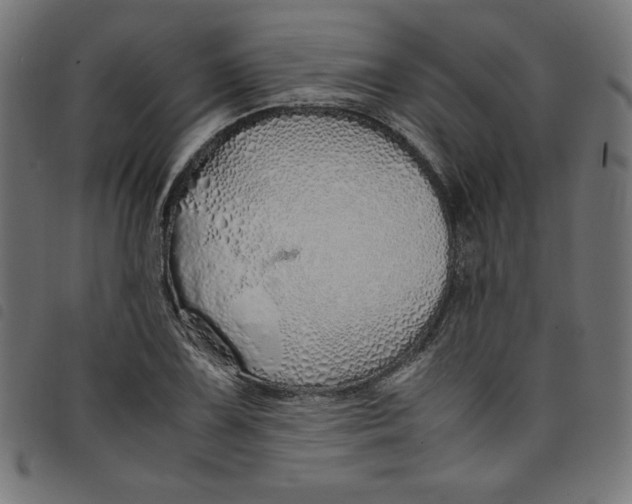 X0000098101075200804251359