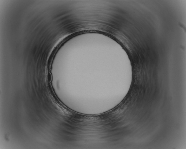 X0000098101076200804251359
